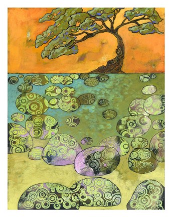 Framed Boulder Pond Print