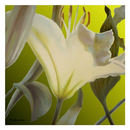 Framed Lily Green Print