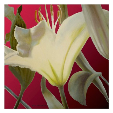 Framed Lily Red Print
