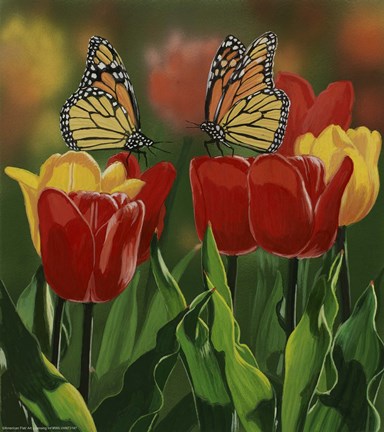 Framed Monarchs And Tulips Print