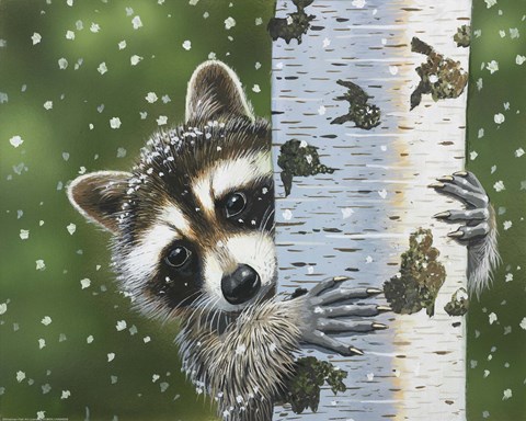 Framed Peek-A-Boo Raccoon Print