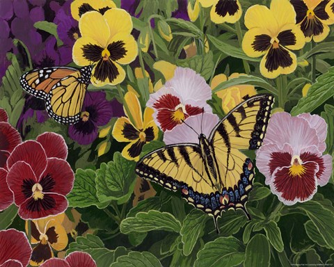 Framed Butterflies And Pansies Print