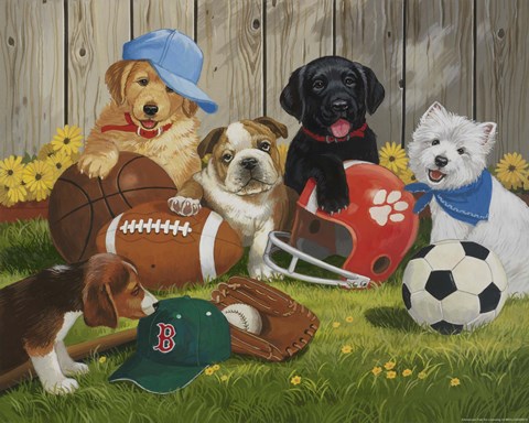 Framed Let&#39;s Play Ball Print