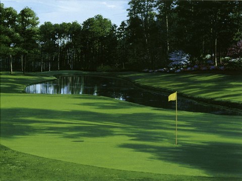 Framed Golf Course 3 Print