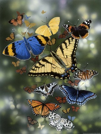 Framed Flying Flowers Print