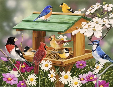 Framed Backyard Birds Spring Feast Print