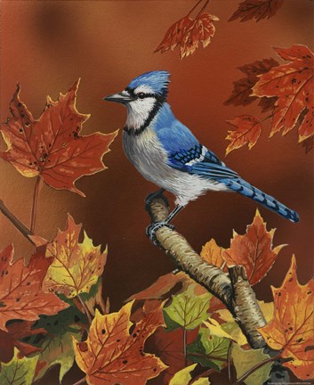 Framed Fall Colors Print