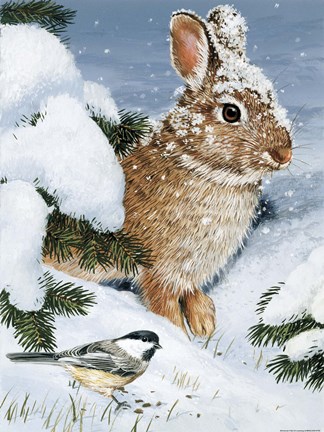 Framed Winter Cottontail And Friend Print