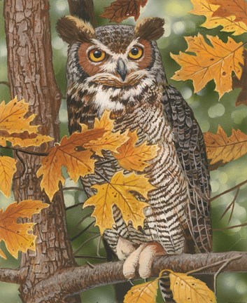 Framed Autumn Owl Print