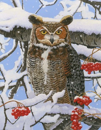 Framed Great-horned Owl Print