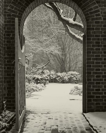 Framed Secret Garden Redux Print