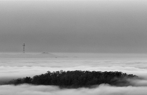 Framed Invasives Print