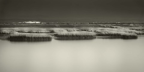 Framed Jamais vu Print