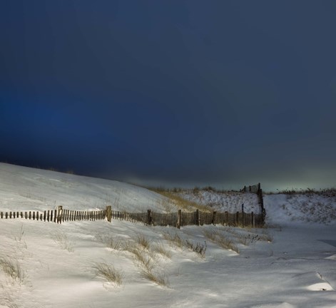 Framed Mock Turtle&#39;s Lament Print