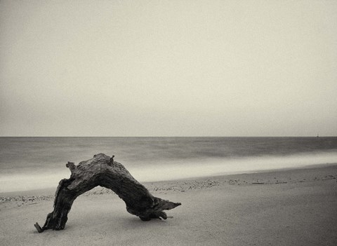 Framed Unititled Print