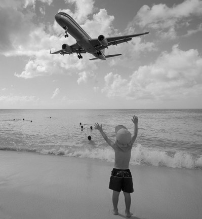 Framed Airplanes 13 Print