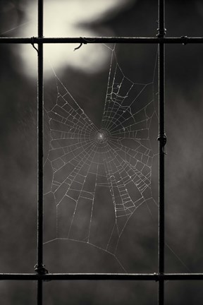 Framed Tinier Furniture Print