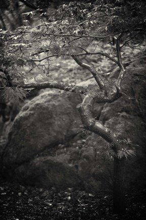 Framed en plein air Print