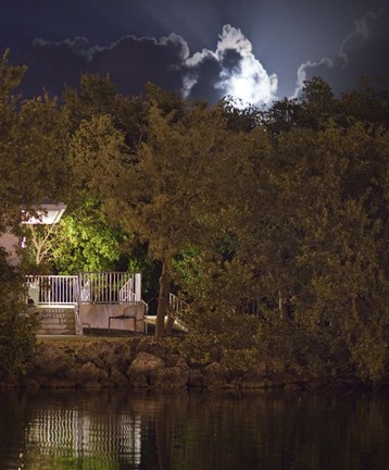 Framed Every Word We Sang I Knew Was True Print