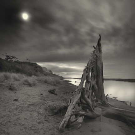 Framed Tower of Song Print