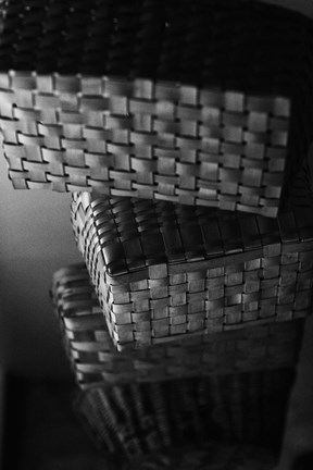 Framed Lands Where the Jumblies Live II Print