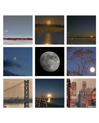 Framed Luna - squares Print