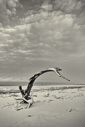 Framed Spice Box of Earth Print