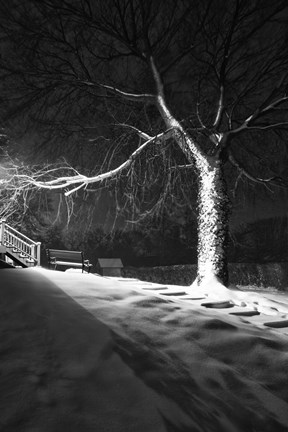 Framed Twelve Steps Print