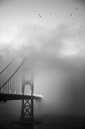 Framed Golden Gate and Birds Print