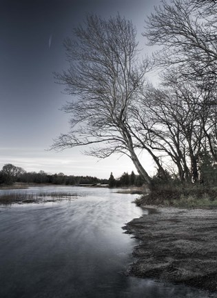 Framed False Alarm Print