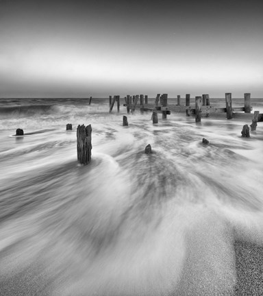 Framed Insurgency Print