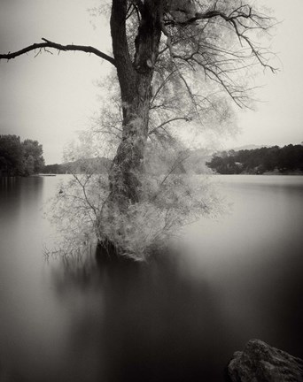 Framed Surfactant Print