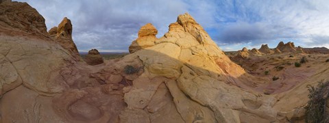 Framed Cottonwood II Print
