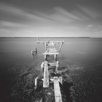 Framed After Wilma Print