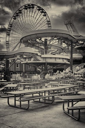 Framed Winter Games Print