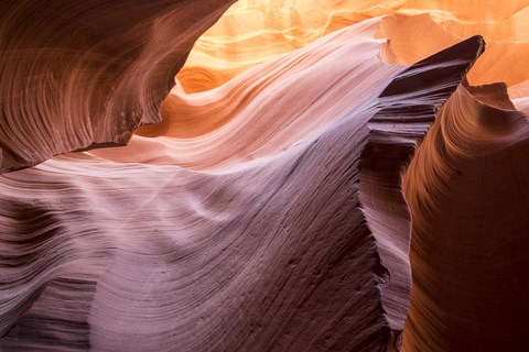 Framed Lower Wave II Print