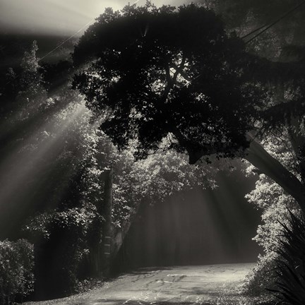 Framed What We Say When We&#39;re Falling Print