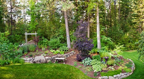Framed Backyard garden in Loon Lake, Spokane, Washington State, USA Print