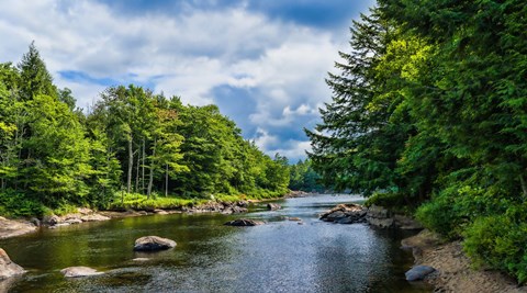 Framed Trees along the Moose River, New York State Print