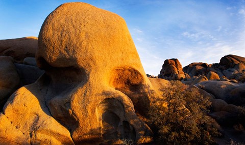 Framed Skull Rock formations, Joshua Tree National Park, California, USA Print