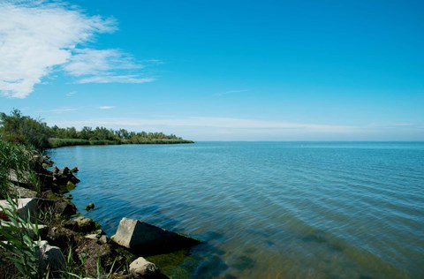 Framed View of a lake, Etang de Vaccares, Camargue, Bouches-Du-Rhone, Provence-Alpes-Cote d&#39;Azur, France Print