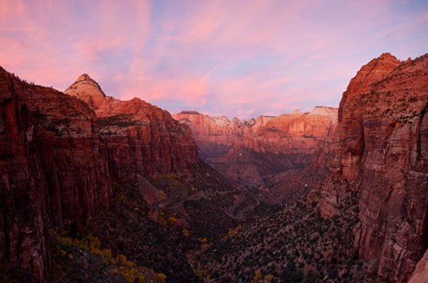 Framed Zion Canyon at sunset, Zion National Park, Springdale, Utah, USA Print