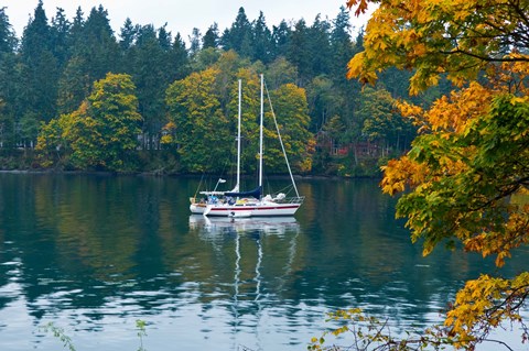 Framed Sailboats in a lake, Washington State, USA Print