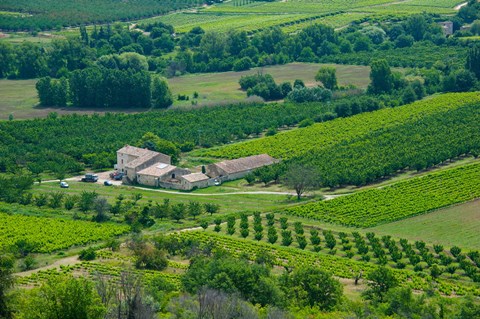 Framed Farmhouse in a field, Lacoste, Vaucluse, Provence-Alpes-Cote d&#39;Azur, France Print