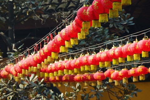 Framed Red lanterns at a temple, Jade Buddha Temple, Shanghai, China Print