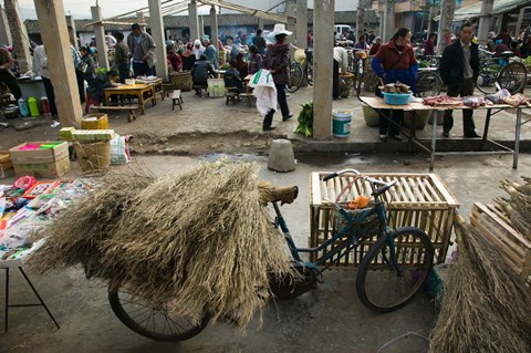 Framed Traditional town market with grass on bicycle for making brooms, Xizhou, Erhai Hu Lake Area, Yunnan Province, China Print
