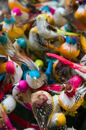 Framed Artificial birds for sale at a market stall, Yuen Po Street Bird Garden, Mong Kok, Kowloon, Hong Kong Print