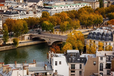 Framed Seine River and city viewed from the Notre Dame Cathedral, Paris, Ile-de-France, France Print