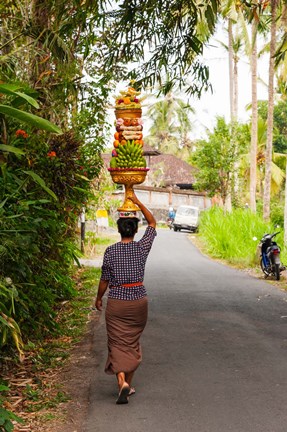Framed Woman carrying offering to temple, Pejeng Kaja, Tampaksiring, Bali, Indonesia Print