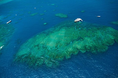 Framed Aerial view of coral reef in the pacific ocean, Great Barrier Reef, Queensland, Australia Print
